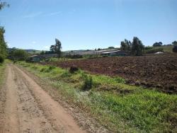 Sítio para Venda em São Miguel Arcanjo - 4