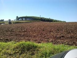 Sítio para Venda em São Miguel Arcanjo - 5