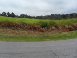 #T-60 - Terreno em condomínio para Venda em Araçoiaba da Serra - SP