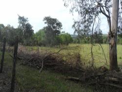 Sítio para Venda em Sorocaba - 4