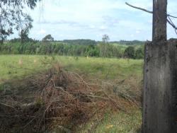 Sítio para Venda em Sorocaba - 5