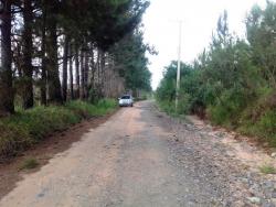 Chácara para Venda em Salto de Pirapora - 4