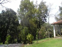 Sítio para Venda em Votorantim - 5